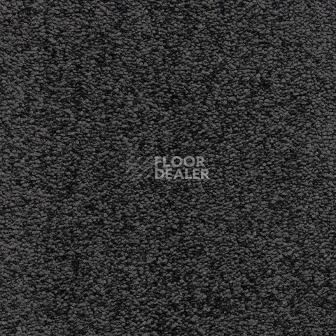 Ковролин Bonkeel Parliament Black фото 1 | FLOORDEALER